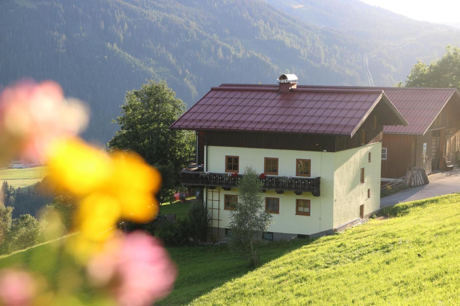 Molteraugut Apartment Mühlbach am Hochkönig Екстериор снимка
