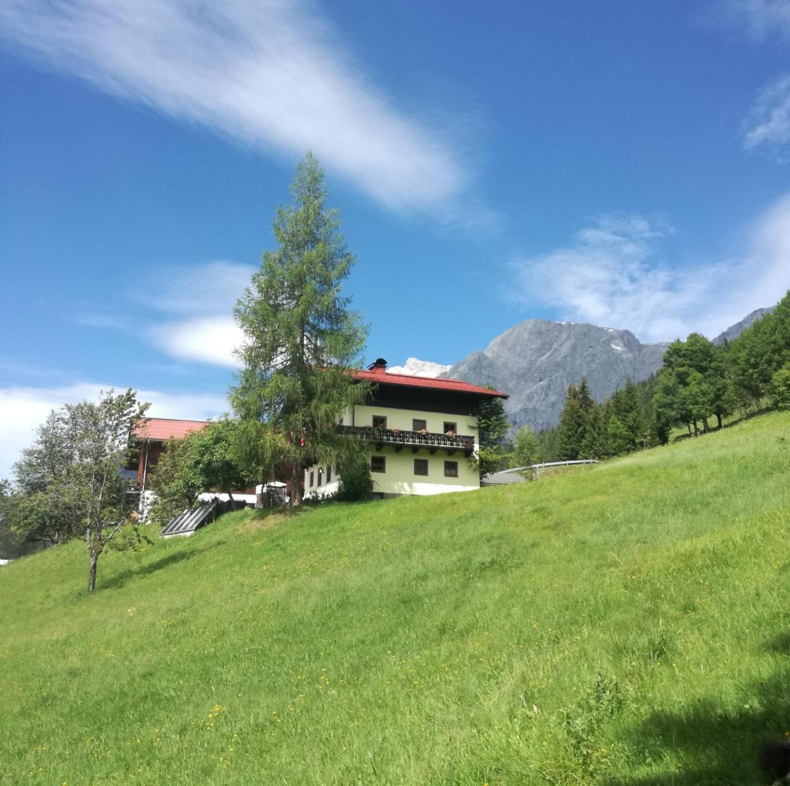 Molteraugut Apartment Mühlbach am Hochkönig Екстериор снимка